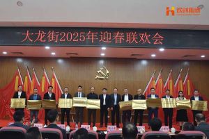 乐动（中国）集团及旗下子公司荣获“2024年度高质量发展先进企业”